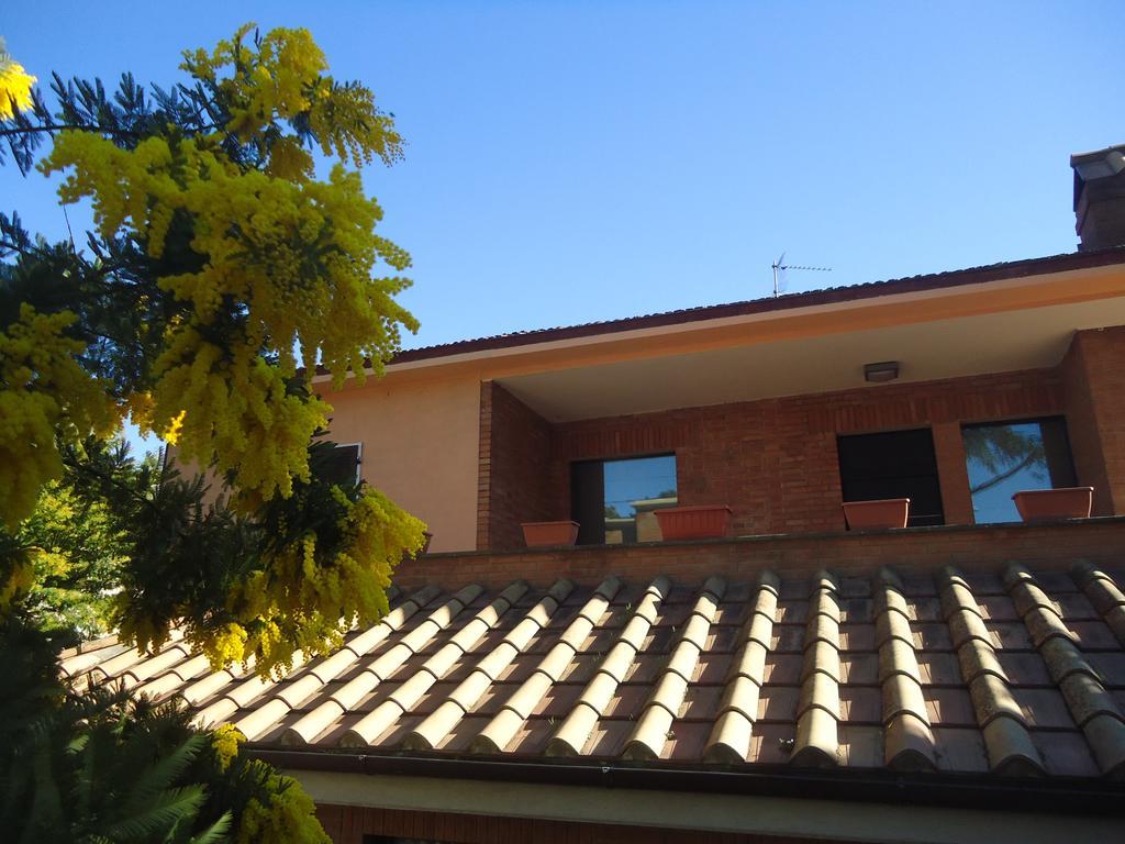 Apartment La Sora Bice